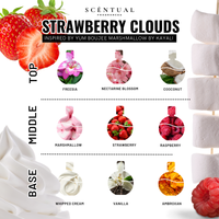 Strawberry Clouds Ultra-Concentrated Perfume Mist