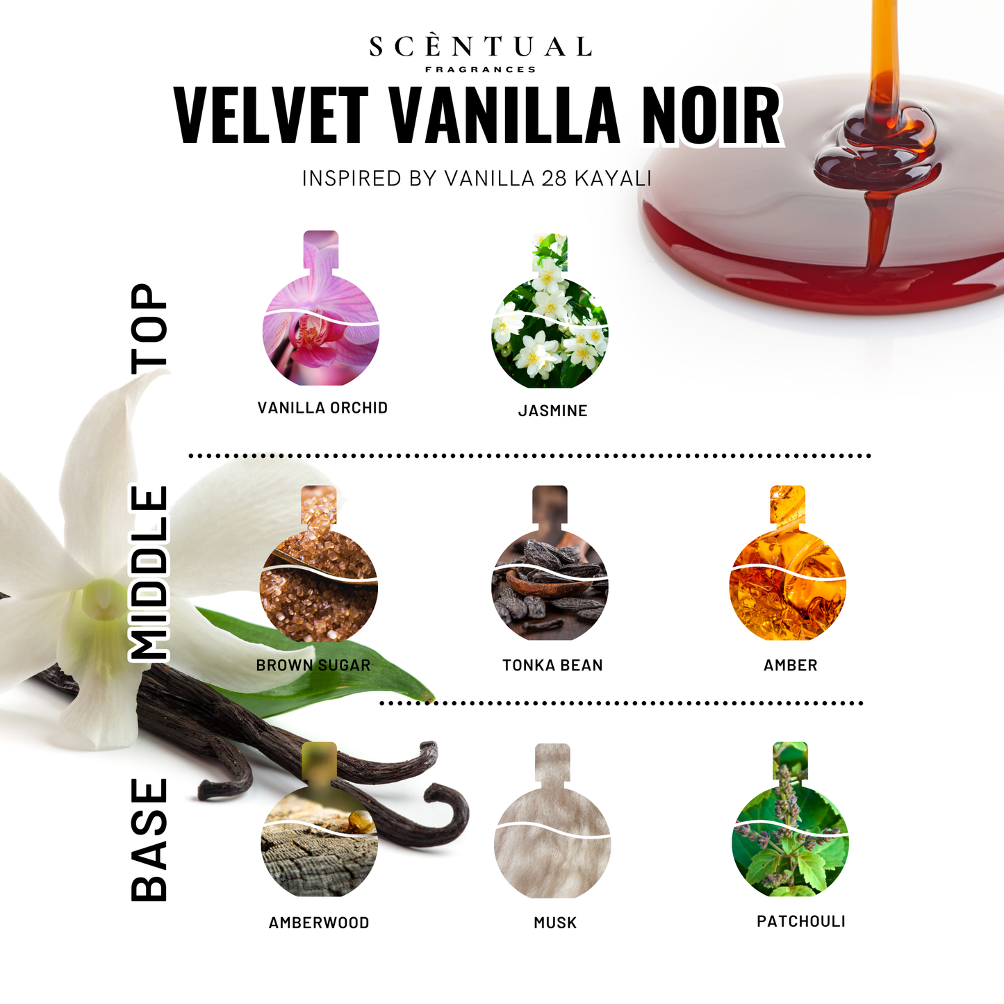 Velvet Vanilla Noir Ultra-Concentrated Body & Hair Oil