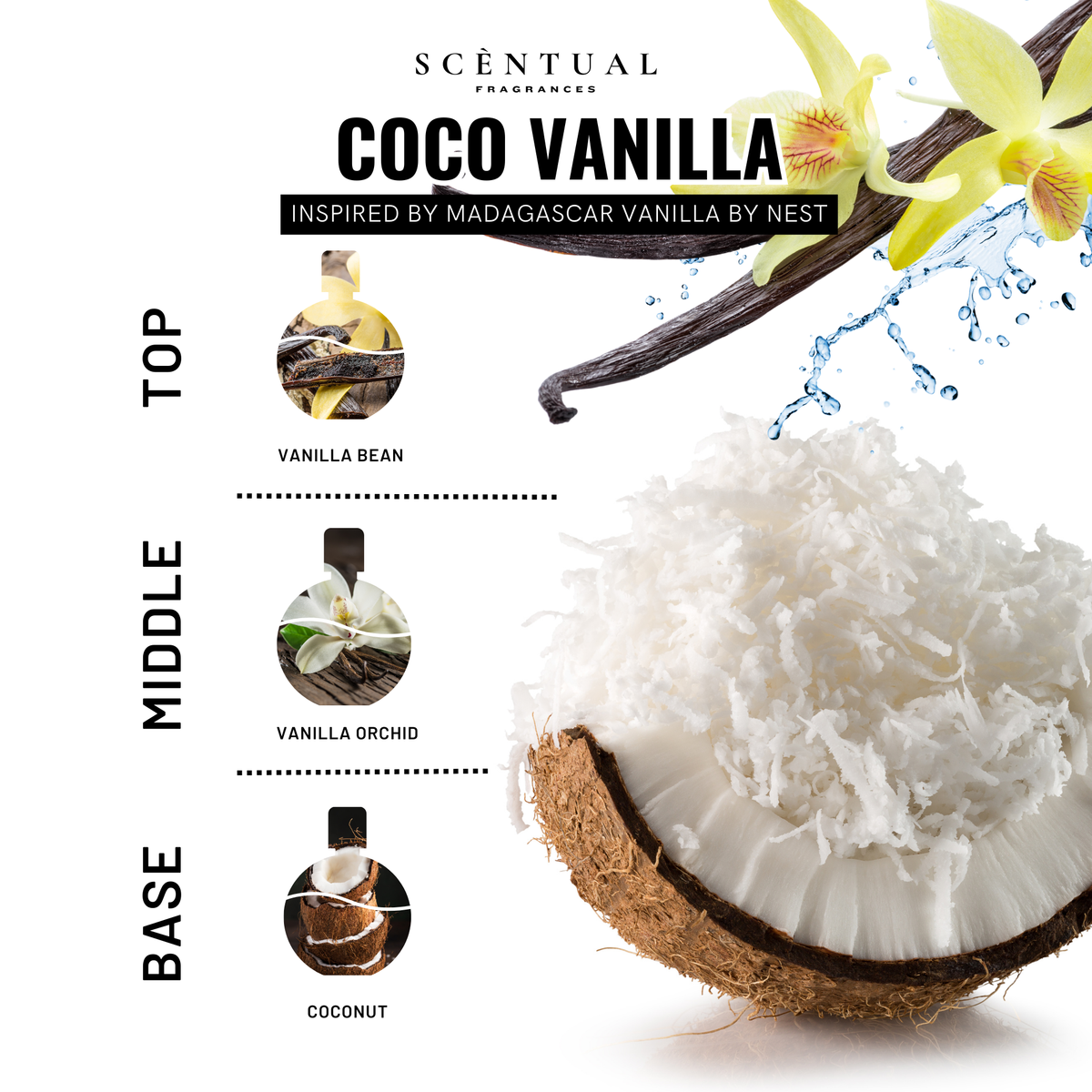 Coco Vanilla Ultra-Concentrated Body & Hair Oil – Scèntual Fragrances