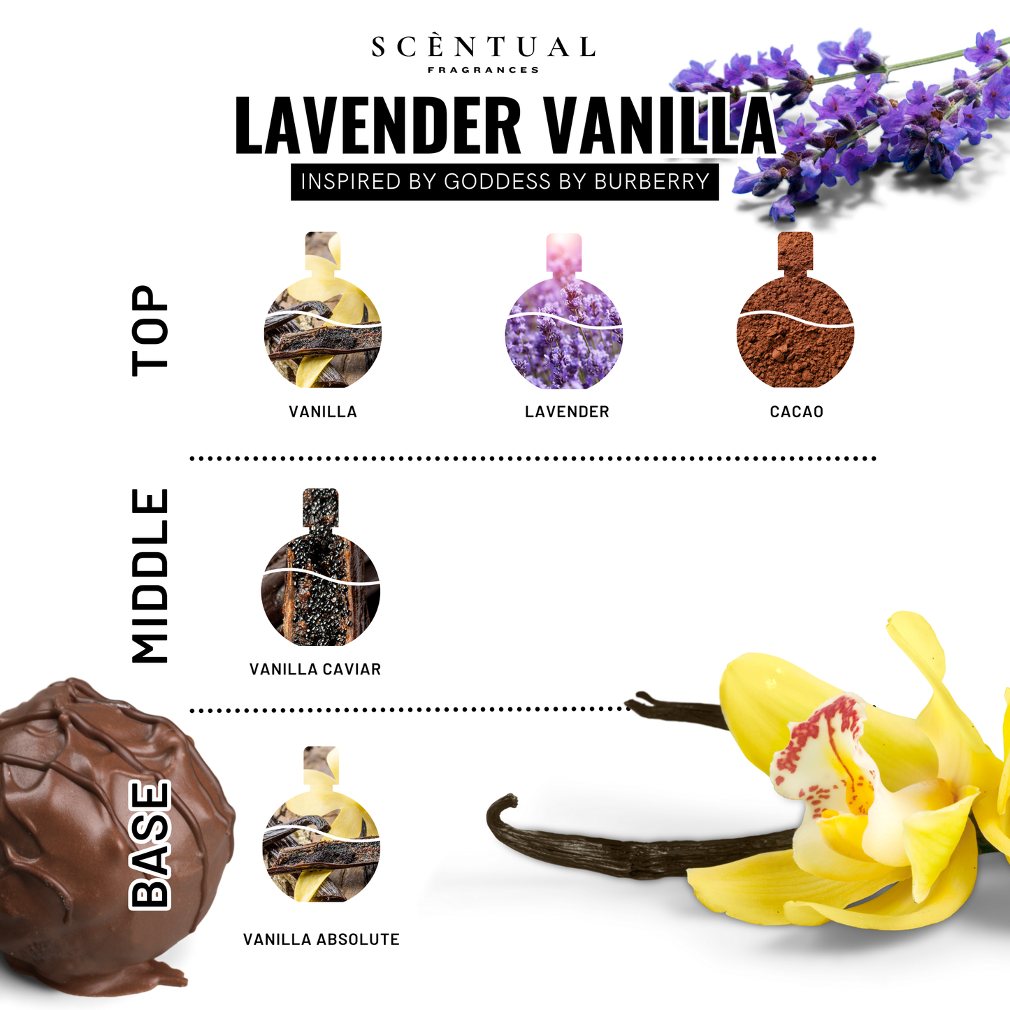 Lavender Vanilla Ultra-Concentrated Body & Hair Oil