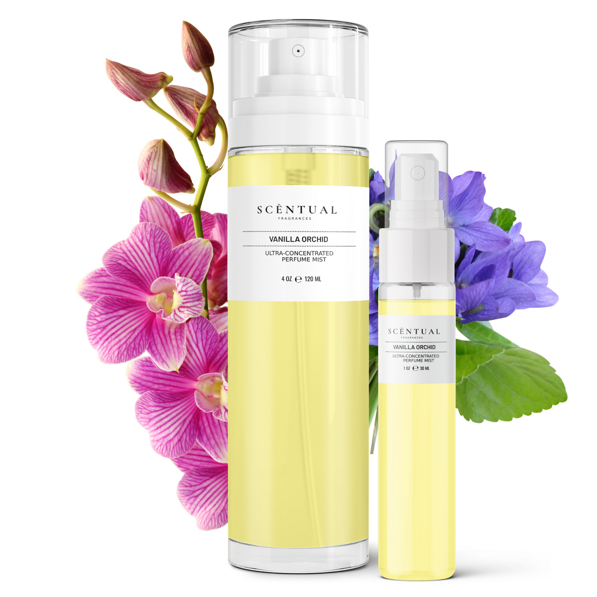Vanilla Orchid Ultra-Concentrated Perfume Mist – Scèntual Fragrances